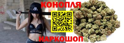 гидра Новодвинск