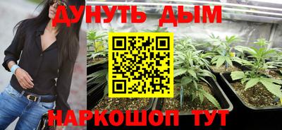 гидра Новодвинск