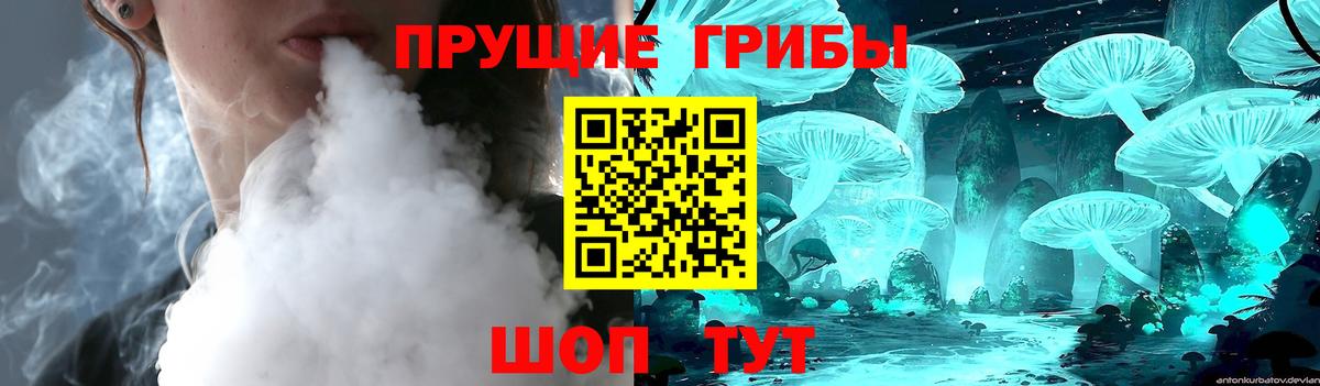 Псилоцибиновые грибы мицелий  закладки  Петрозаводск  Вход с VPN 